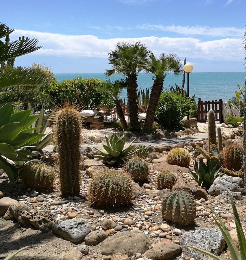 Giardino Sul Mare Apartment Реалмонте Екстериор снимка