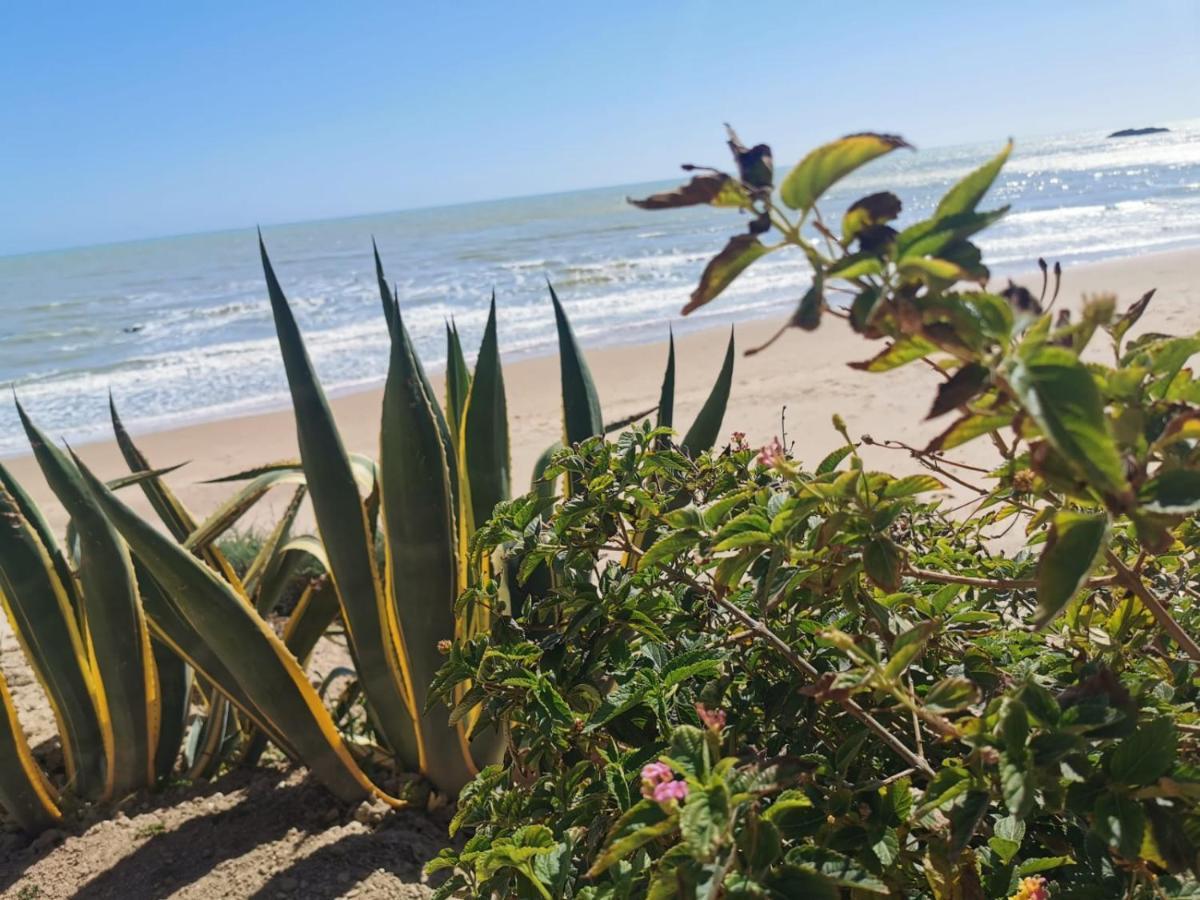 Giardino Sul Mare Apartment Реалмонте Екстериор снимка