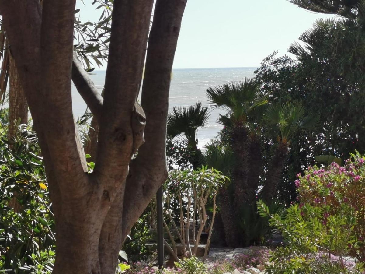 Giardino Sul Mare Apartment Реалмонте Екстериор снимка
